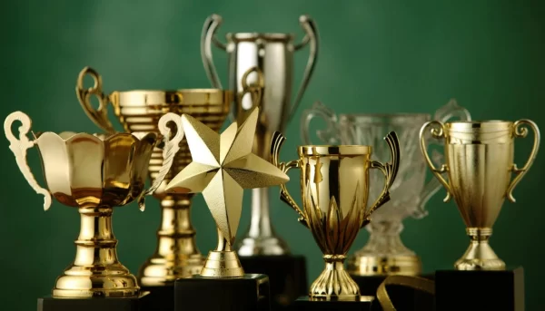 What Judges Looking For When Finalizing The Awardees – Award Criteria