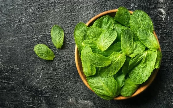 Beauty Benefits Of Mint