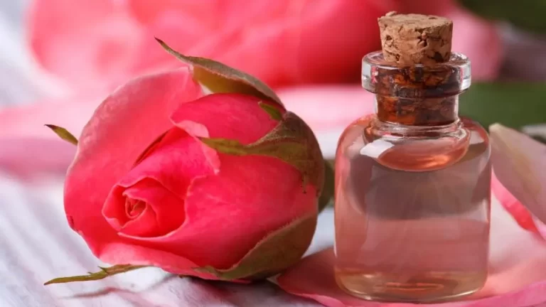 How To Prepare Rose Water At Home