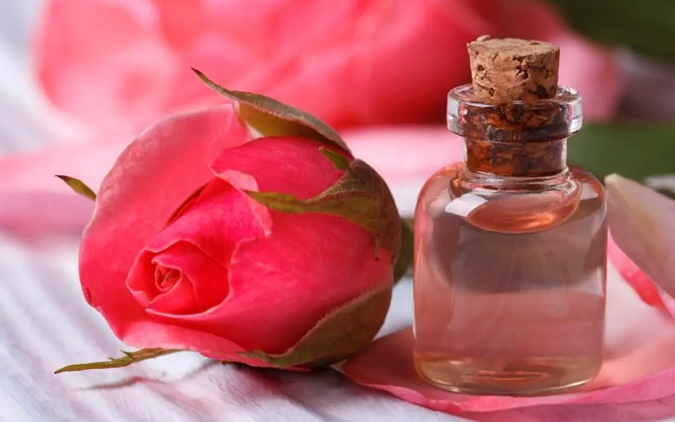 How To Prepare Rose Water At Home