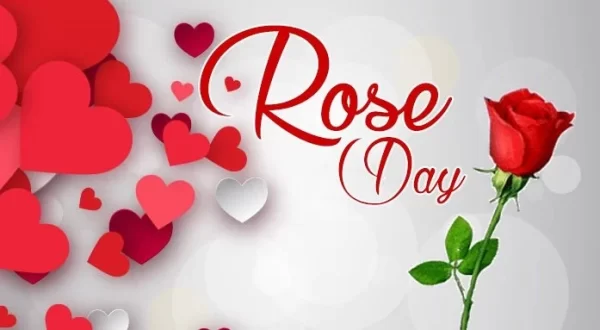 Rose Day In 2023 – When And Why It Is Celebrated