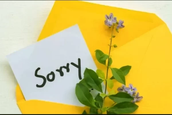 Sorry – One Word Slogan for Stronger Relationship