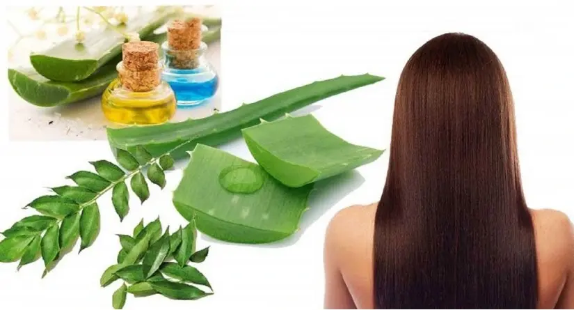 natural remedies for hairfall