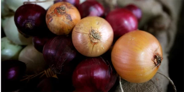 Small Onion For Hair Growth – Will It Work?