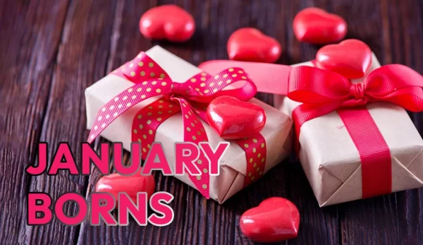 Terrific Gifts For January Born Babies