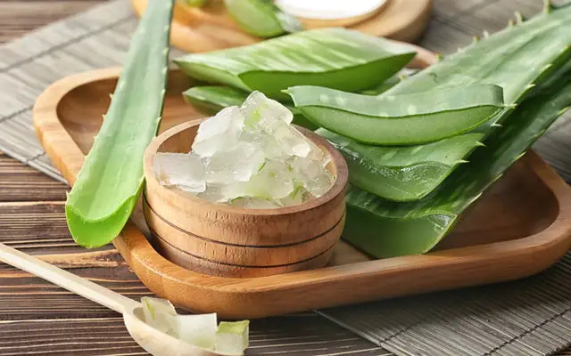 aloe vera skin care