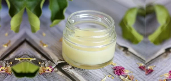DIY Homemade Lip Balm For Dry And Chapped Lips       