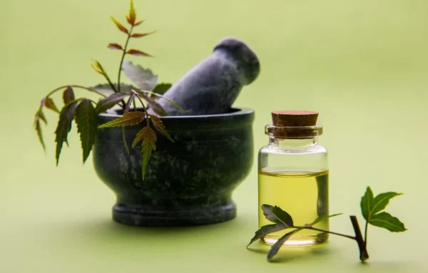 Boundless Benefits Of Neem Oil For Hair And Skin