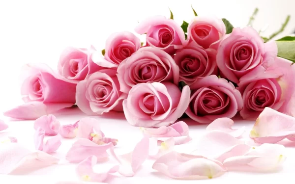 Radiant Roses to Celebrate Endless Love! 