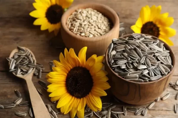 How Sunflower Seeds Helps Our Health