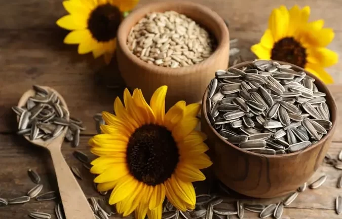 Sunflower Seeds for our health