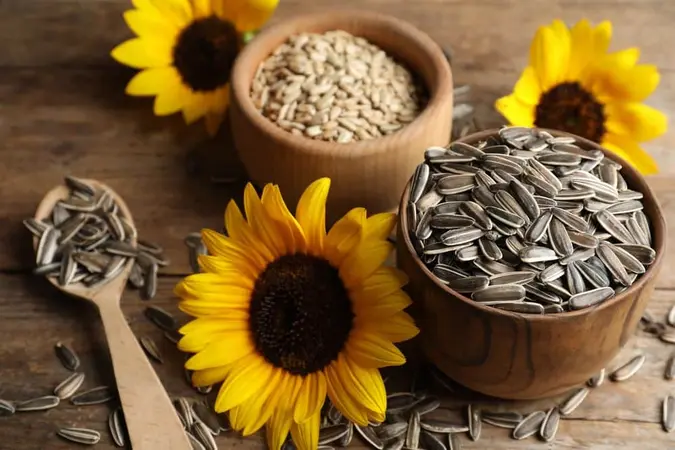 Sunflower Seeds for our health