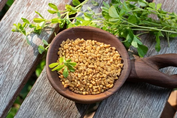 Why Fenugreek Seeds Are Great For Summer?