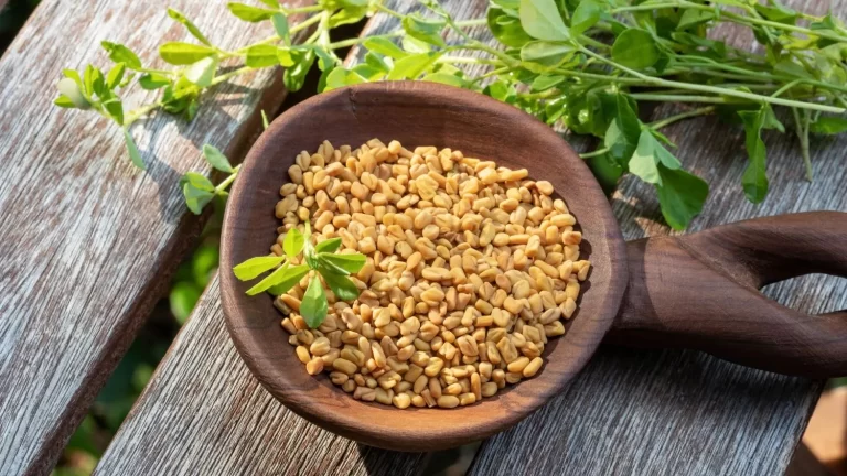 Fenugreek seeds