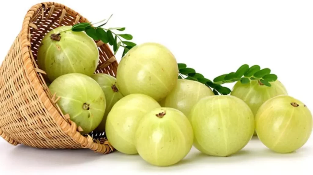 Amla nutrient